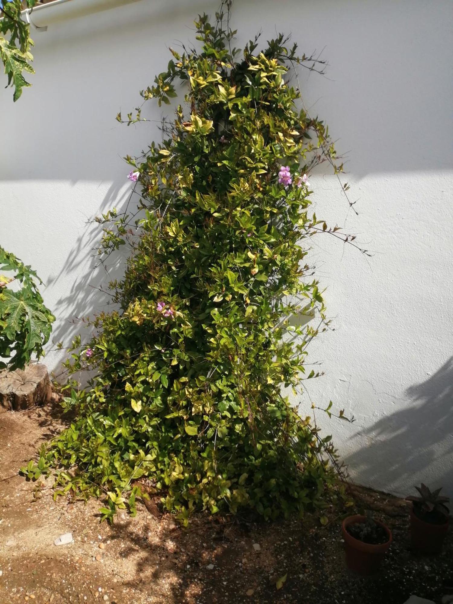 Duas Casas De Ferias Medronhal Faro Em 520 - 2 Exterior photo